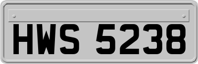 HWS5238