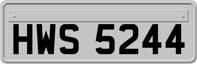 HWS5244