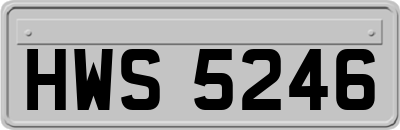HWS5246