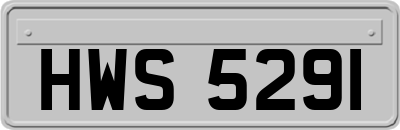 HWS5291