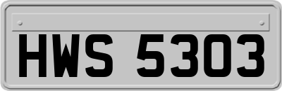 HWS5303