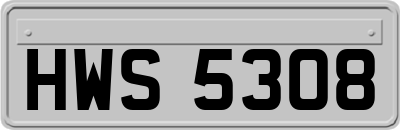 HWS5308