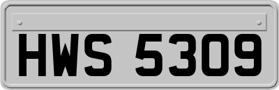 HWS5309