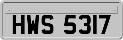 HWS5317