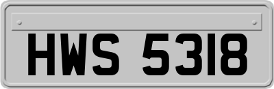 HWS5318