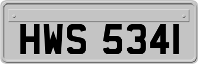 HWS5341