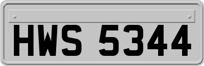 HWS5344