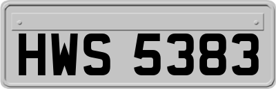 HWS5383