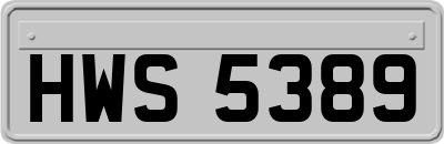 HWS5389