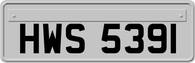 HWS5391
