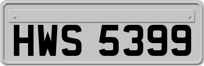 HWS5399
