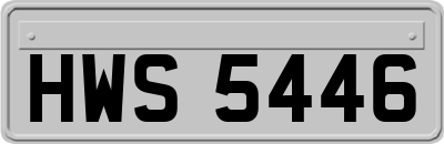 HWS5446
