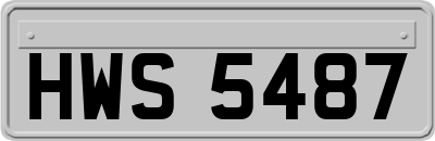 HWS5487