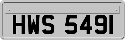 HWS5491