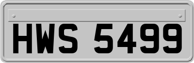 HWS5499