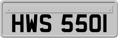HWS5501