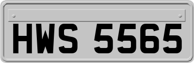 HWS5565