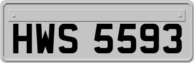 HWS5593