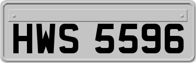 HWS5596