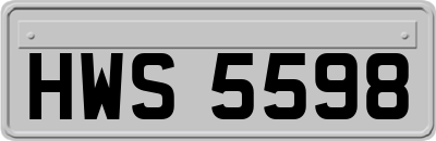 HWS5598