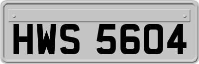 HWS5604