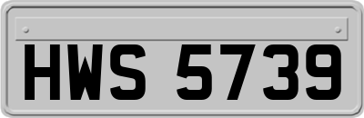 HWS5739