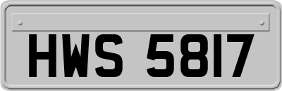 HWS5817