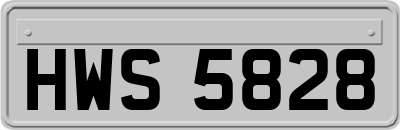 HWS5828