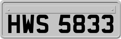 HWS5833