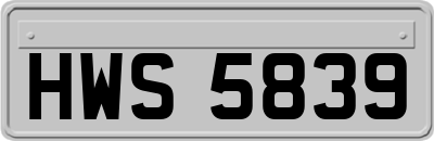HWS5839
