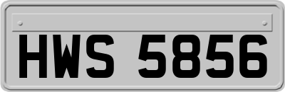 HWS5856