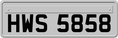 HWS5858