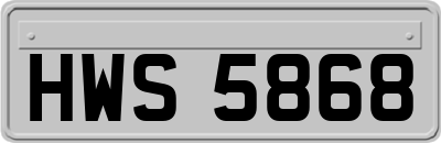 HWS5868