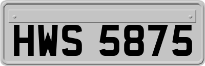 HWS5875