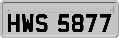 HWS5877