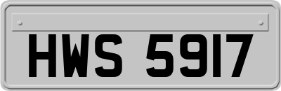 HWS5917