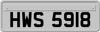 HWS5918