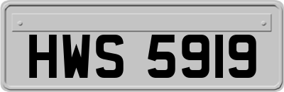 HWS5919