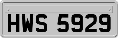 HWS5929