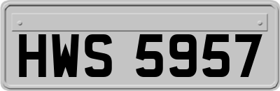 HWS5957