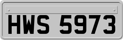HWS5973