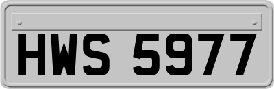 HWS5977
