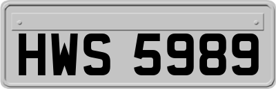 HWS5989