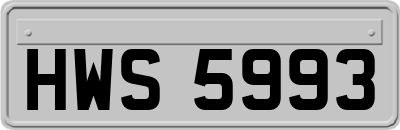 HWS5993