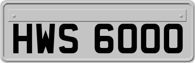 HWS6000