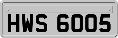 HWS6005