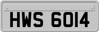 HWS6014