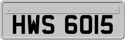 HWS6015