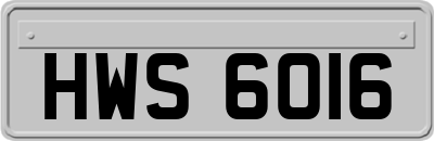 HWS6016