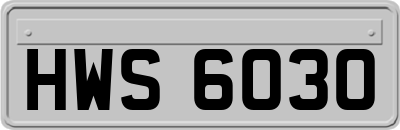 HWS6030